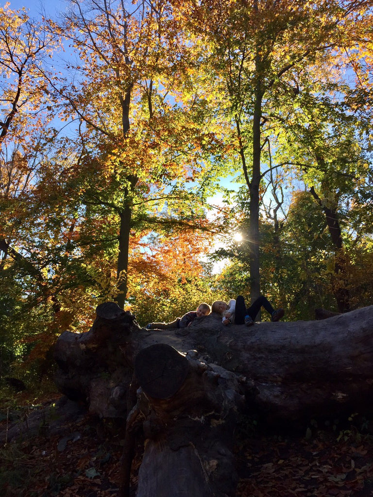 two kids on a tree in the forest