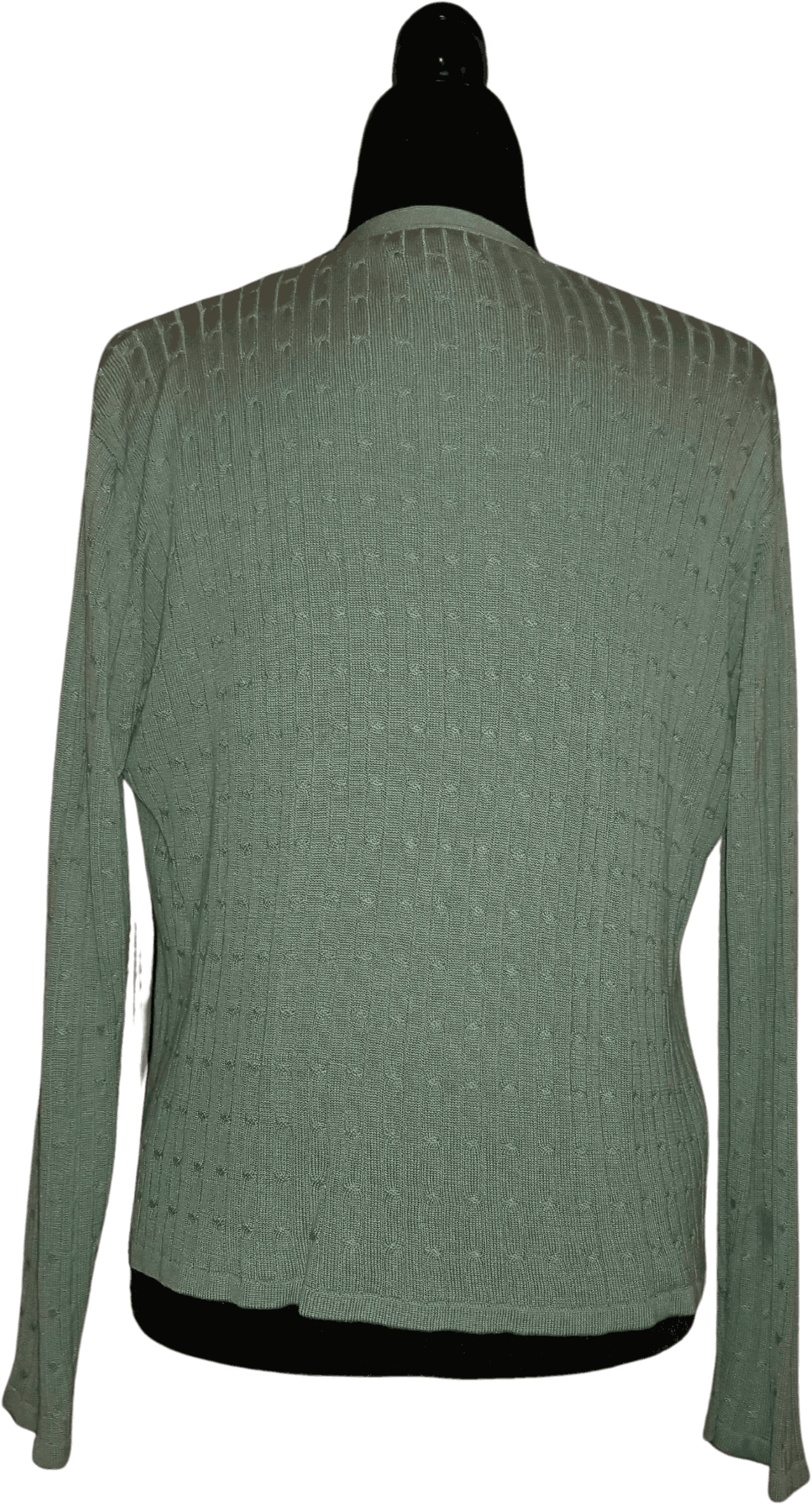 Botanik Bølle Læring Vintage Silk Sage Green Shirt and Cardigan Set by Mark, Fore, And Strike -  Free Shipping - Thrilling