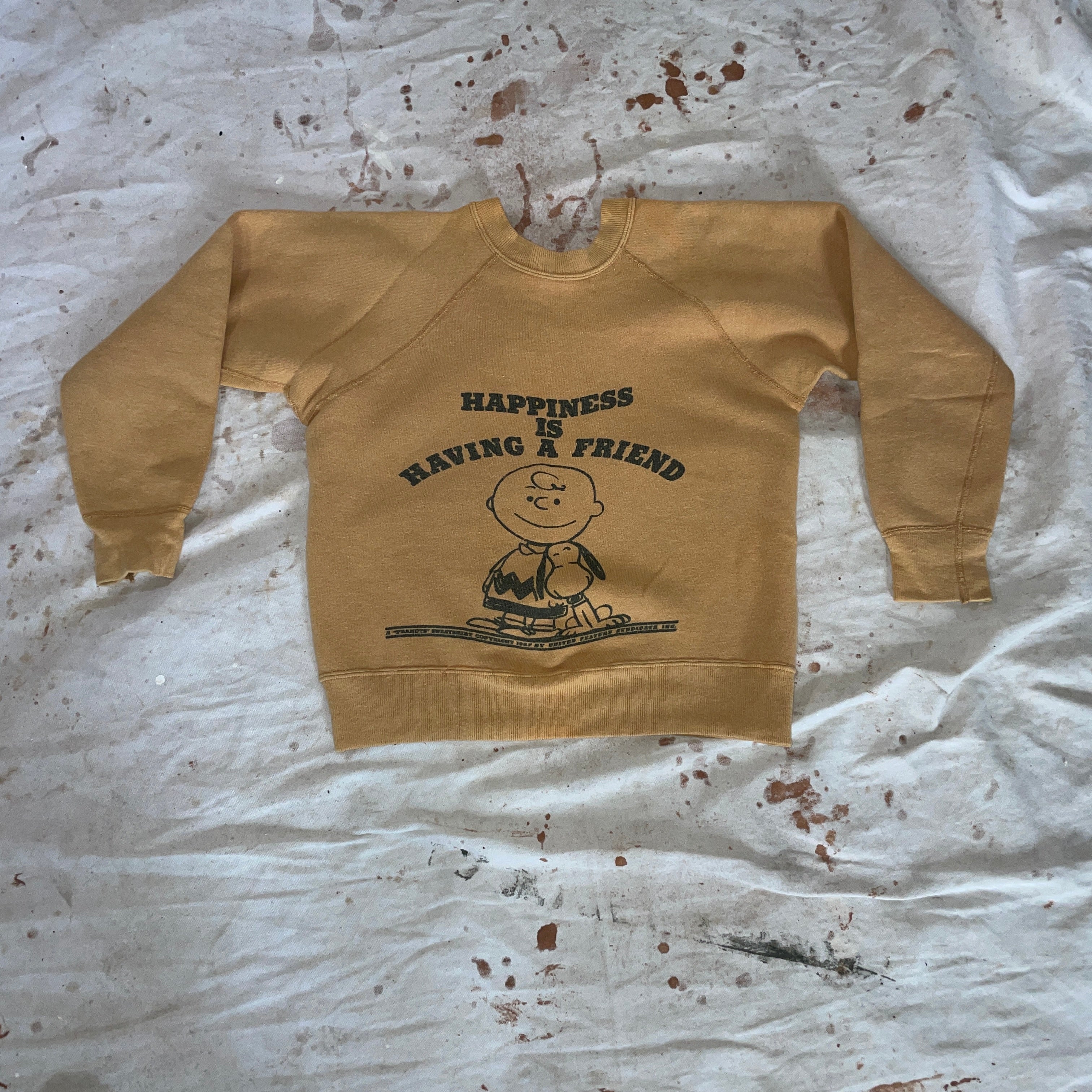 Vintage 60s Rare 1967 Snoopy Peanuts Charles Schultz Crewneck By Mayo  Spruce | Shop THRILLING