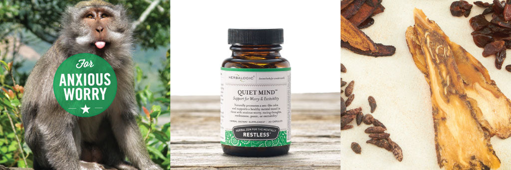 Shop Quiet Mind Herb Caps by Herbalogic. Supports a Calm Mental State in Those with Anxiety, Racing Thoughts, and Hyperactive Mind