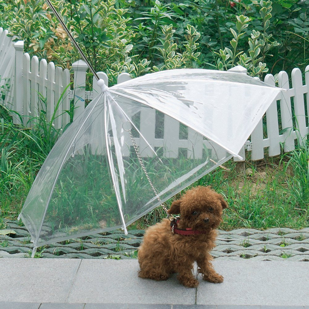 dog umbrella