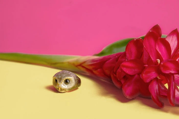 Happy Spotted Owl Ring