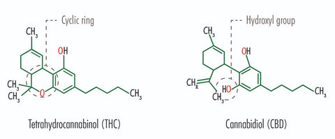 The World Anti-Doping Agency has removed the hemp derivative cannabidiol from the banned substance list.