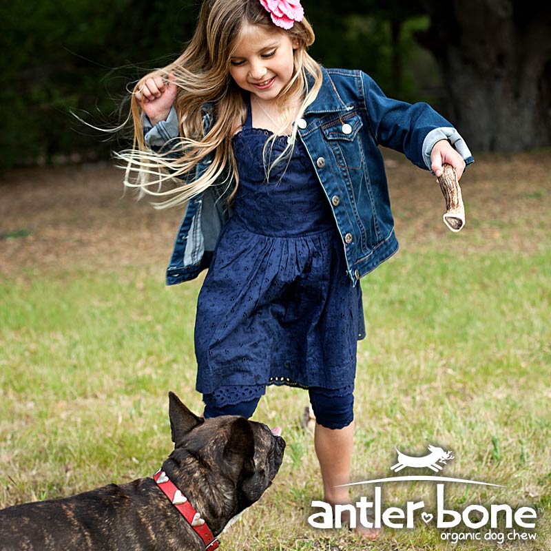 Girl playing with antler chew