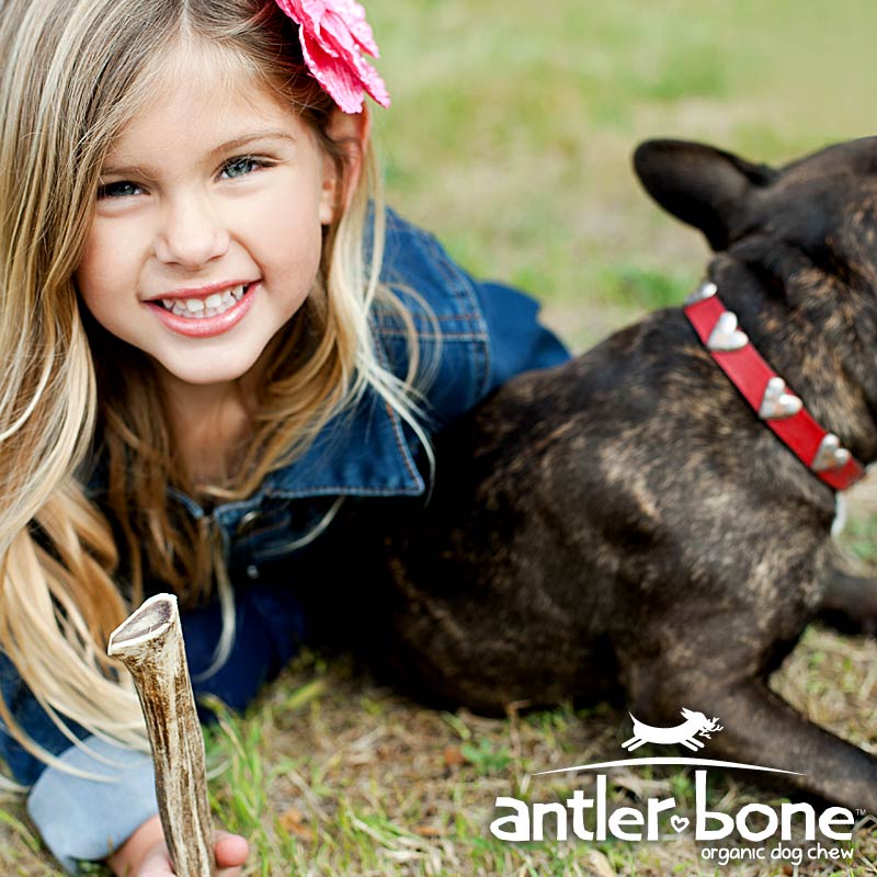 Little girl with antler and dog