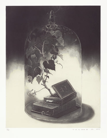 Fumiko Takeda - 武田 史子 - Greenhouse library - 温室の図書館  - intaglio etching aquatint - bell jar books key ivy