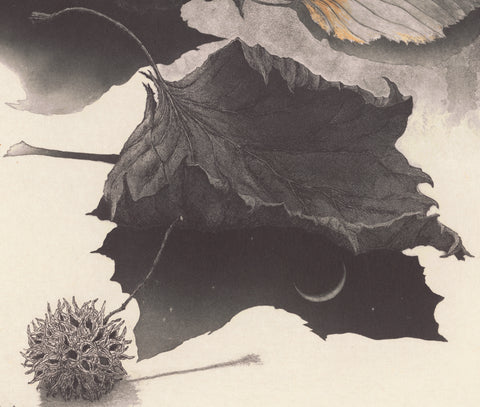 Fumiko Takeda - 武田 史子 - The Poetry of Leaf - 木ノ葉の詩  - intaglio etching aquatint - snail leaves bell jar