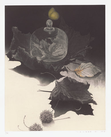 Fumiko Takeda - 武田 史子 - The Poetry of Leaf - 木ノ葉の詩  - intaglio etching aquatint - snail leaves bell jar