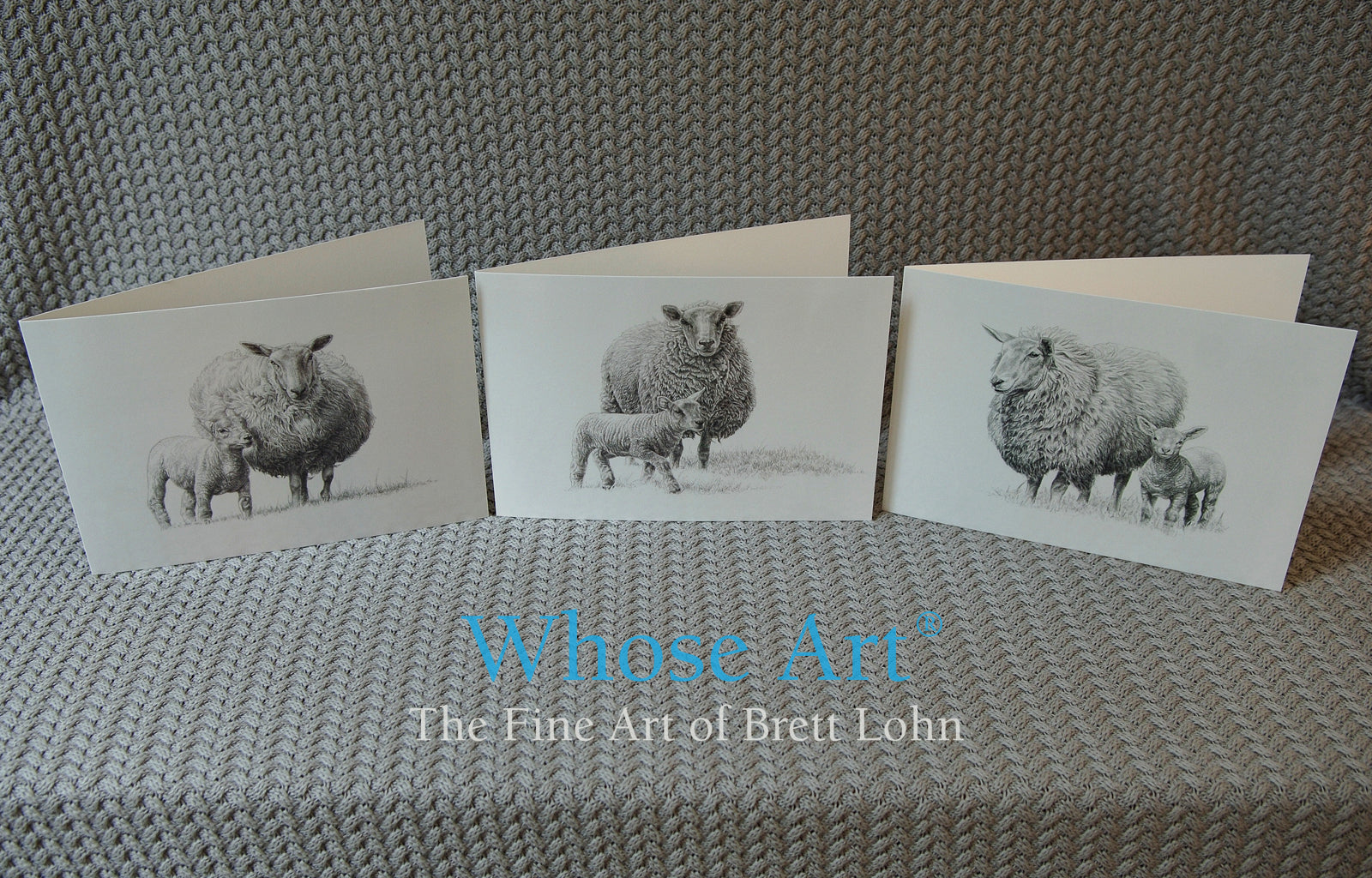 Lamb pencil drawing fine art greeting cards