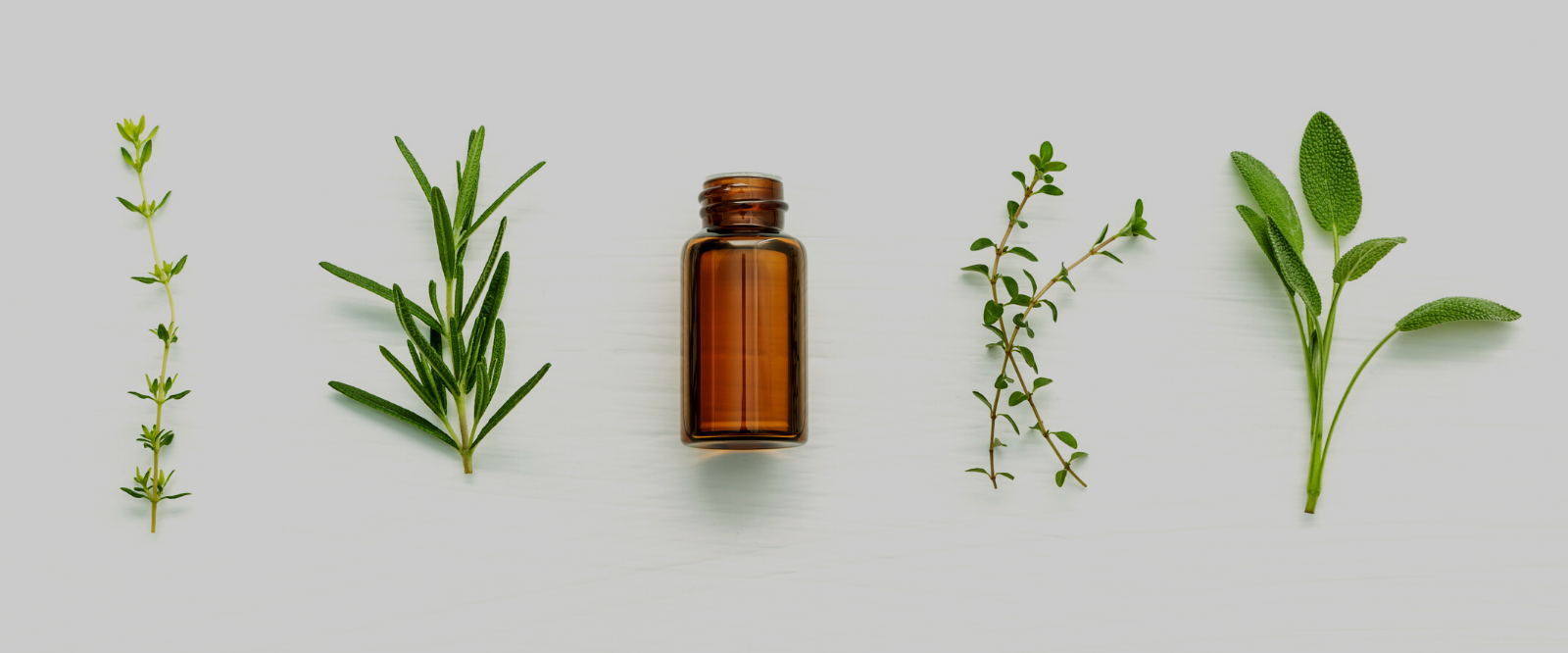 bottle of essential oil perfume next to herbs for herbal skincare