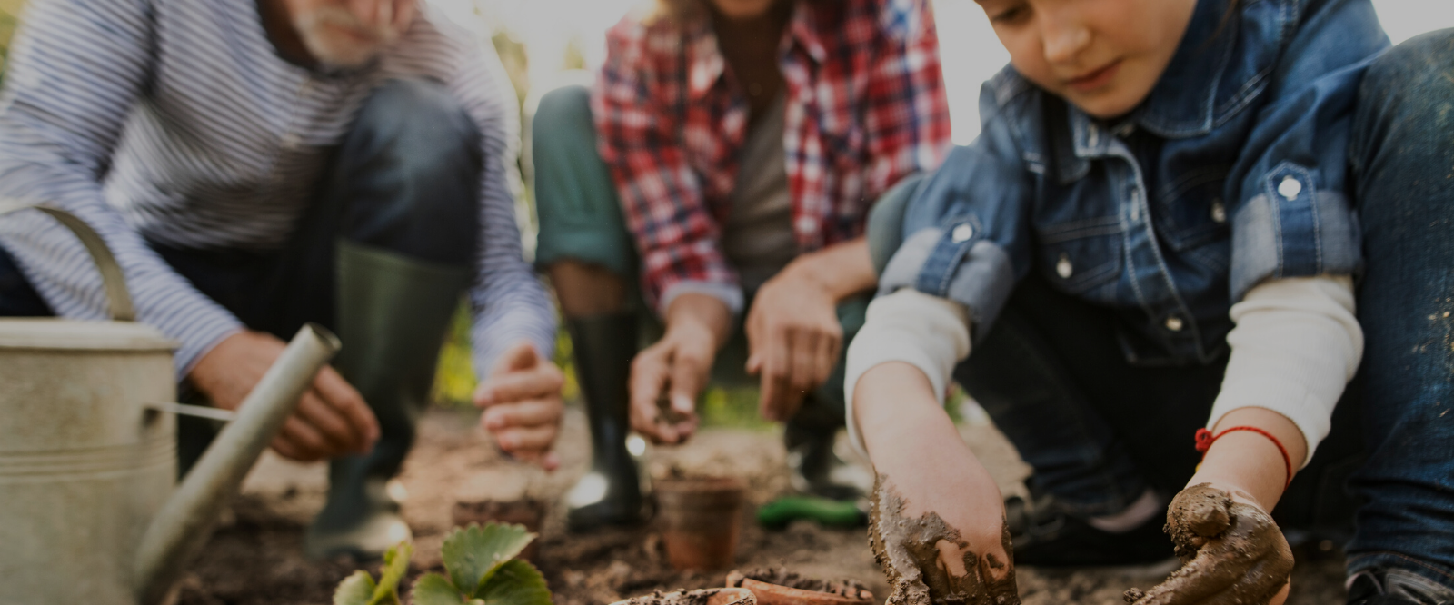 kid gardening herbs for herbal skin care