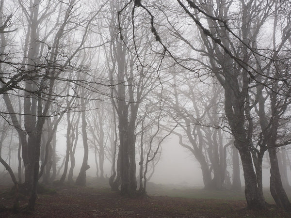 Haunted places in Northern Ireland to visit this Halloween
