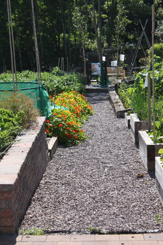 Raised Beds, Vegetable Beds, Allotment, Allotment growing, Timber raised beds, Kitchen garden, Edible plants