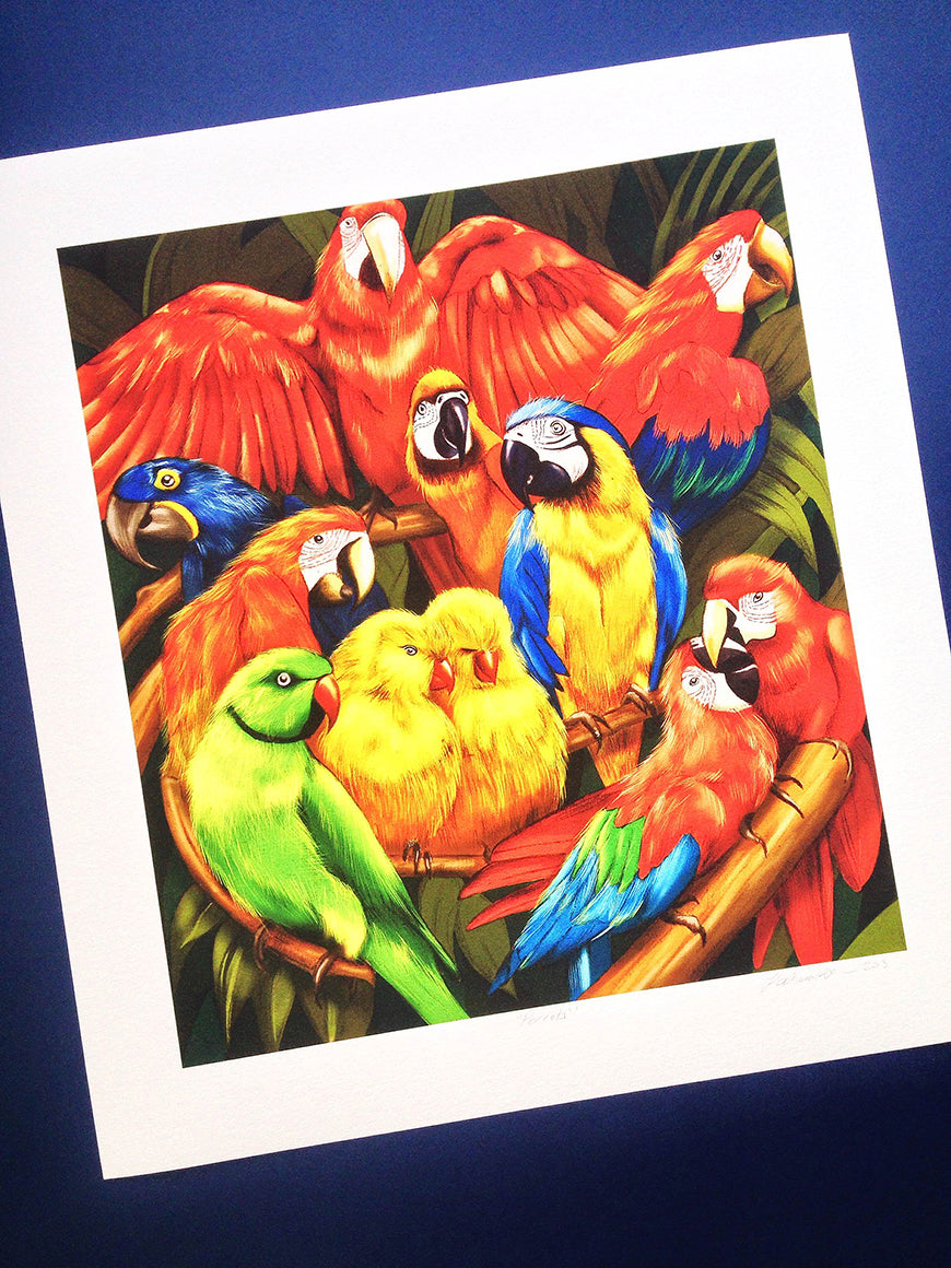 Melbourne Illustrator Kelly Thompson gold medal Pride in Print Awards, parrot illustration