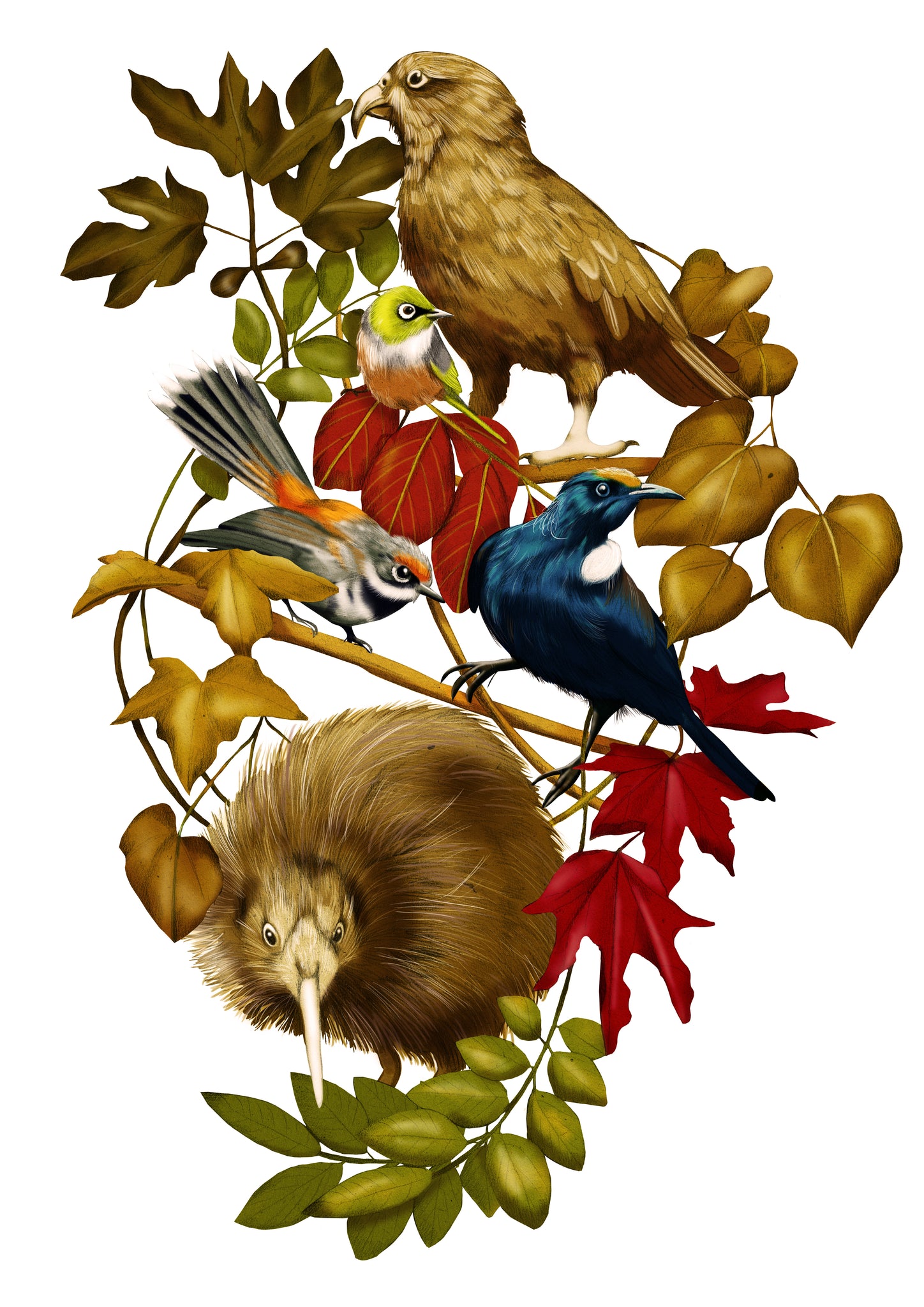 New Zealand native birds illustration by Melbourne Illustrator Kelly Thompson for Cordis Hotels Auckland 