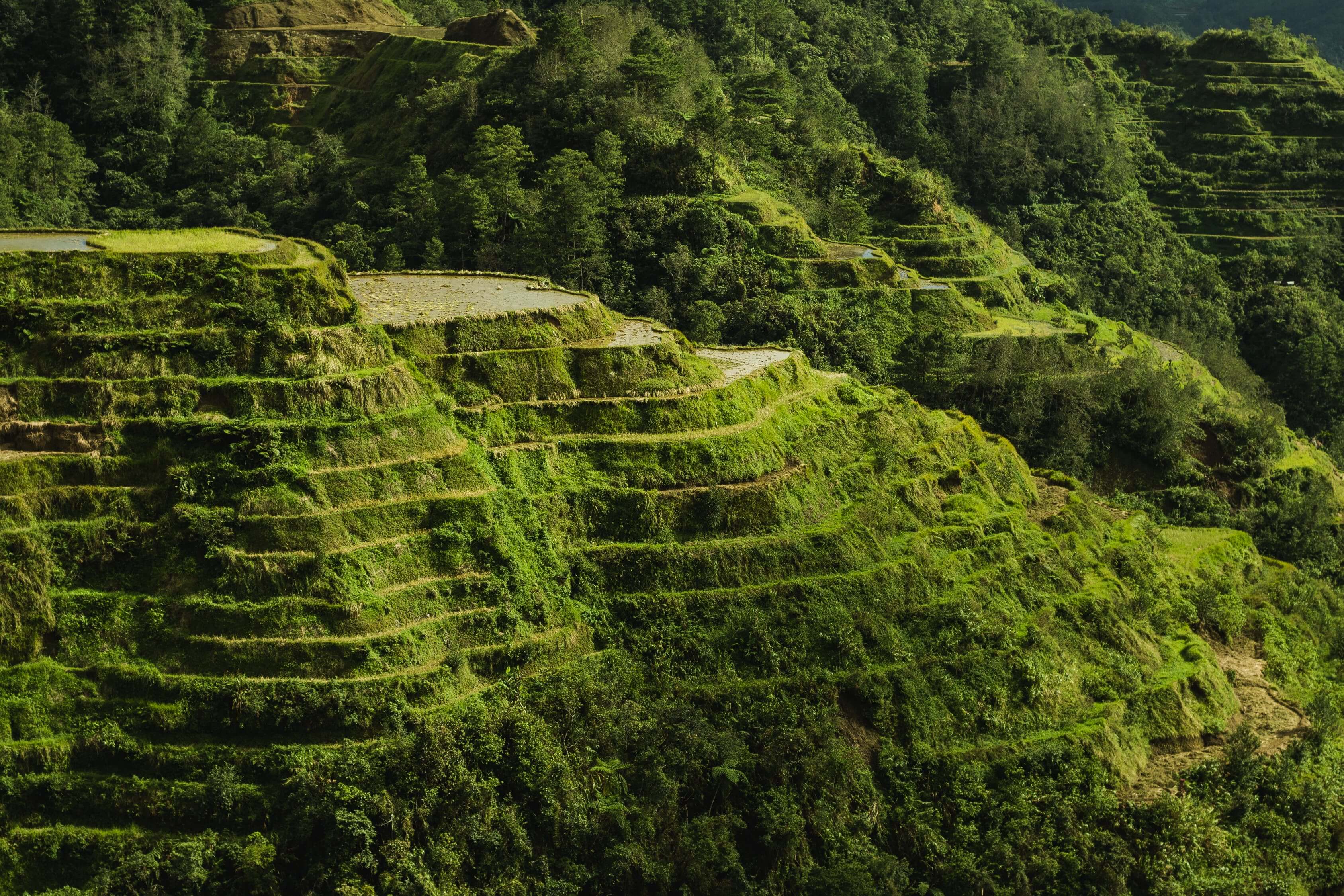 VINTA Ifugao Fashion Origins - Banaue Rice Terraces