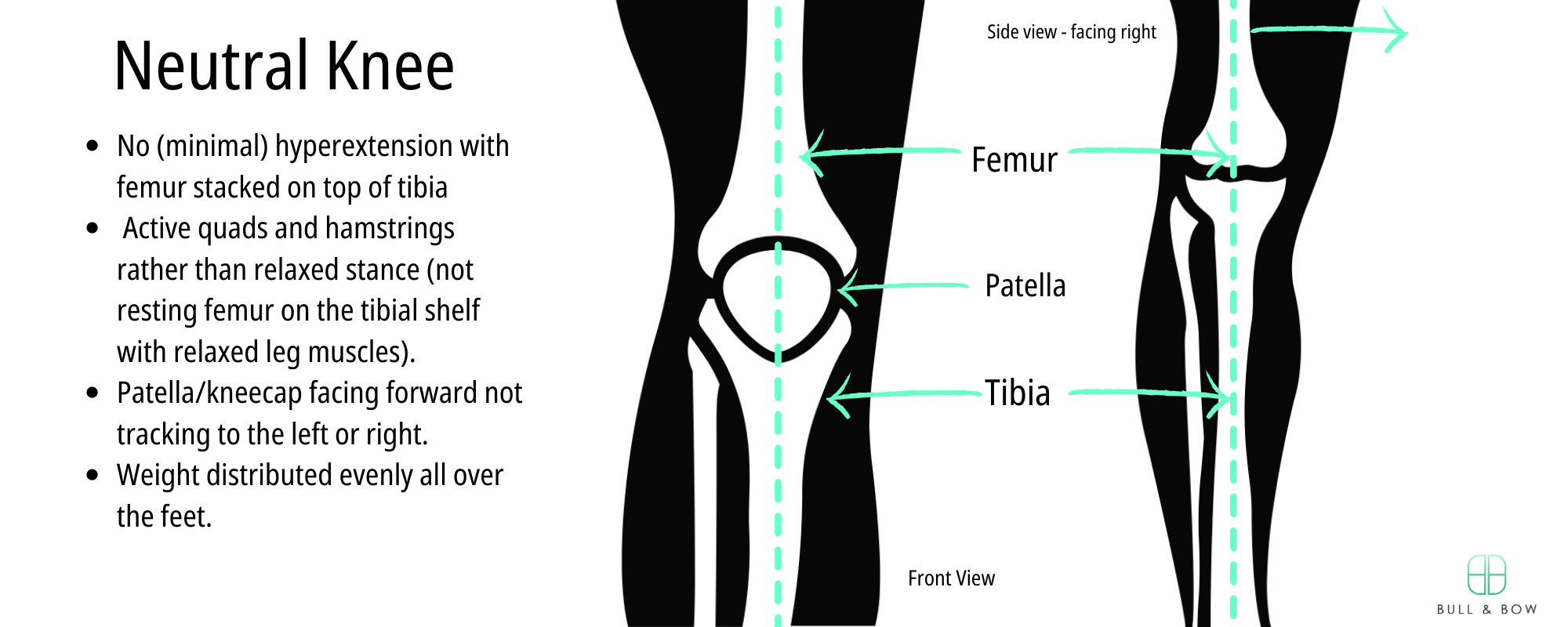Neutral or locked knee description with side and front view of knee joint.