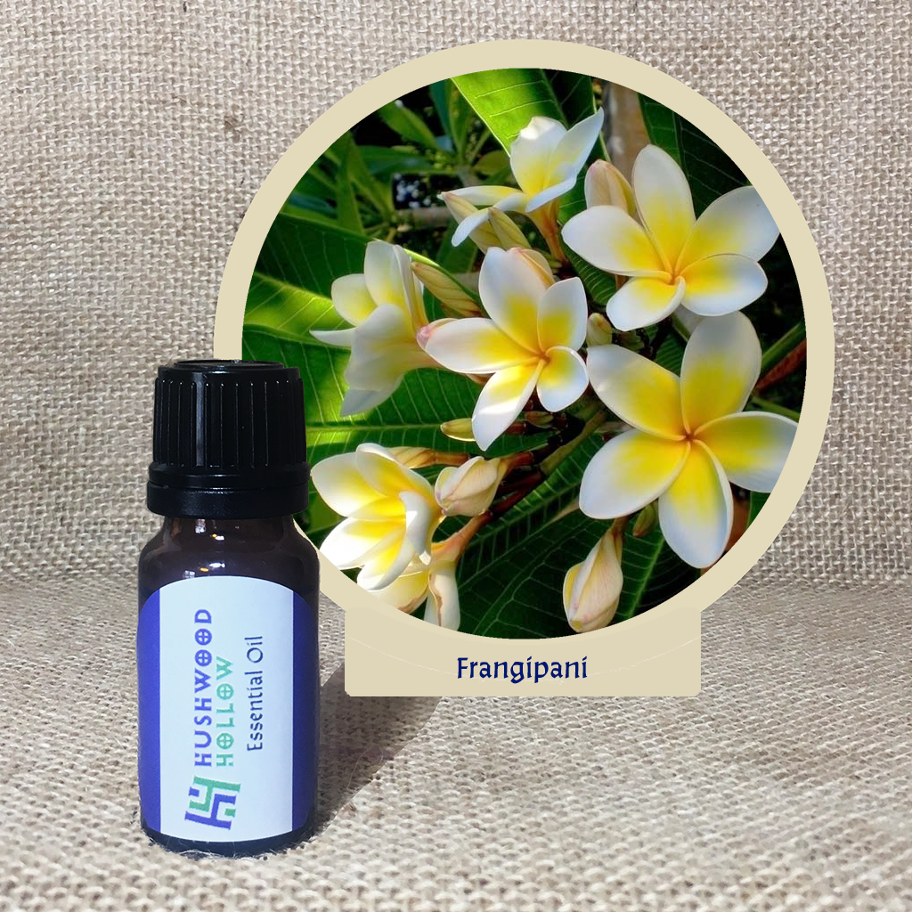 Frangipani 100 Pure Essential Oil Hushwood Hollow