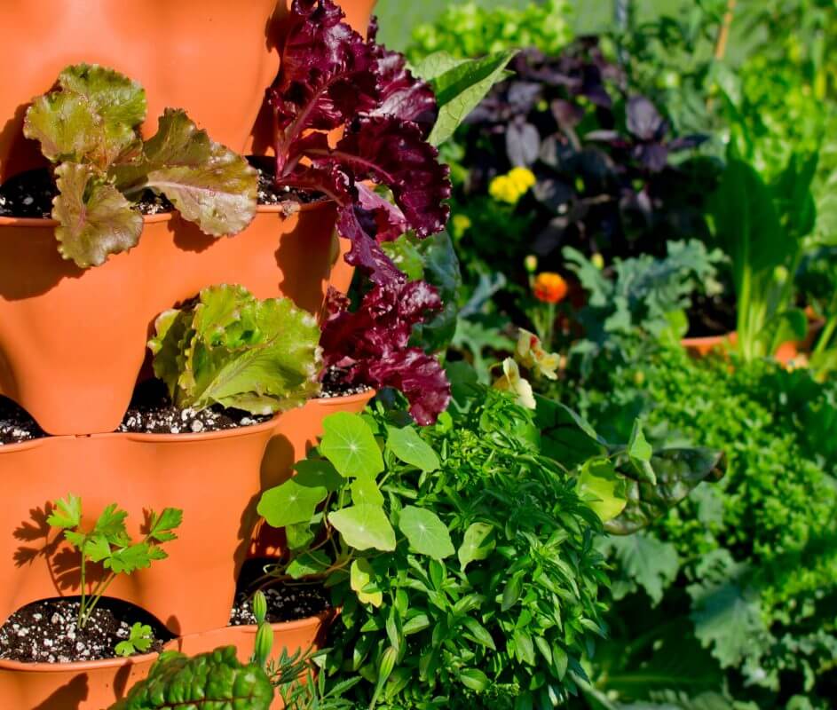 Garden Tower Blog: Interactive Drag & Drop Planting Designer and Salad Tower Sample Planting Plan