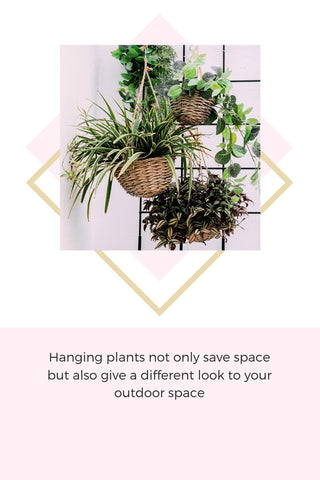 Hanging plants for home decor Anemos Lifestyle