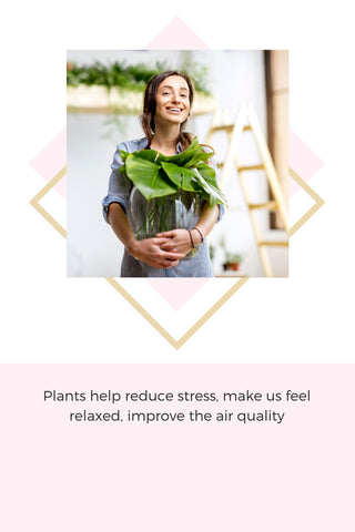 Plants Decor Home Anemos Lifestyle