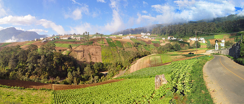 Farms on rolling hills in Guatemala.