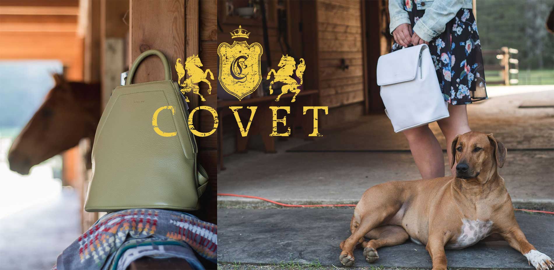 covet boutique