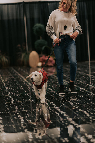 dog & owner fashion 