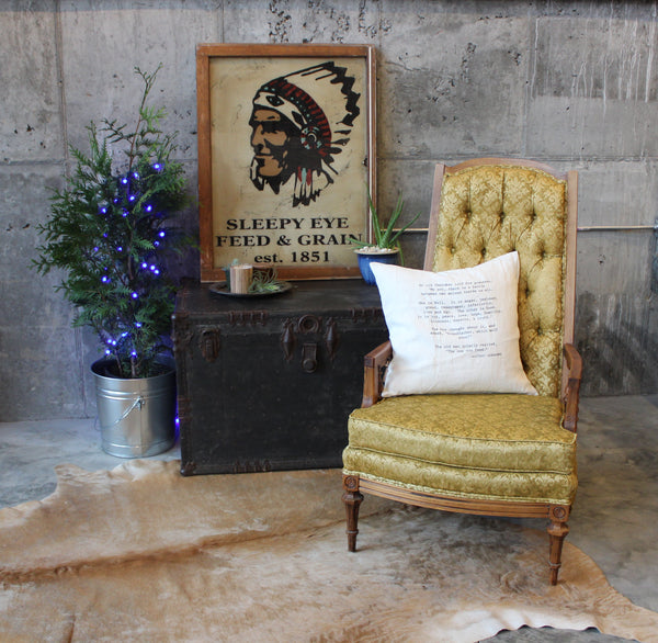 vintage chair with trunk and cowhide