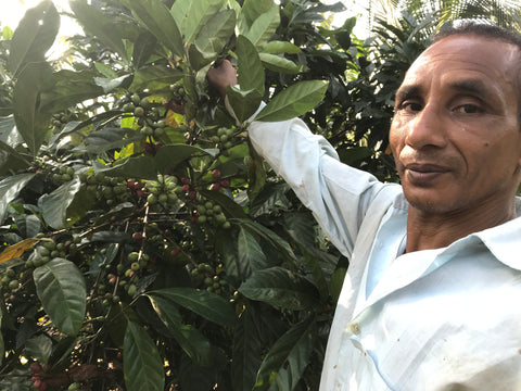 Munir and Coffee Cherries