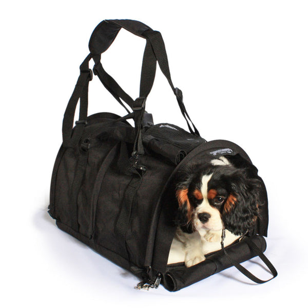 large airline pet carrier