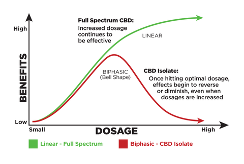 graphic showing how the entourage effect works in CBD products