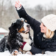 pet in snow safe extreme cold