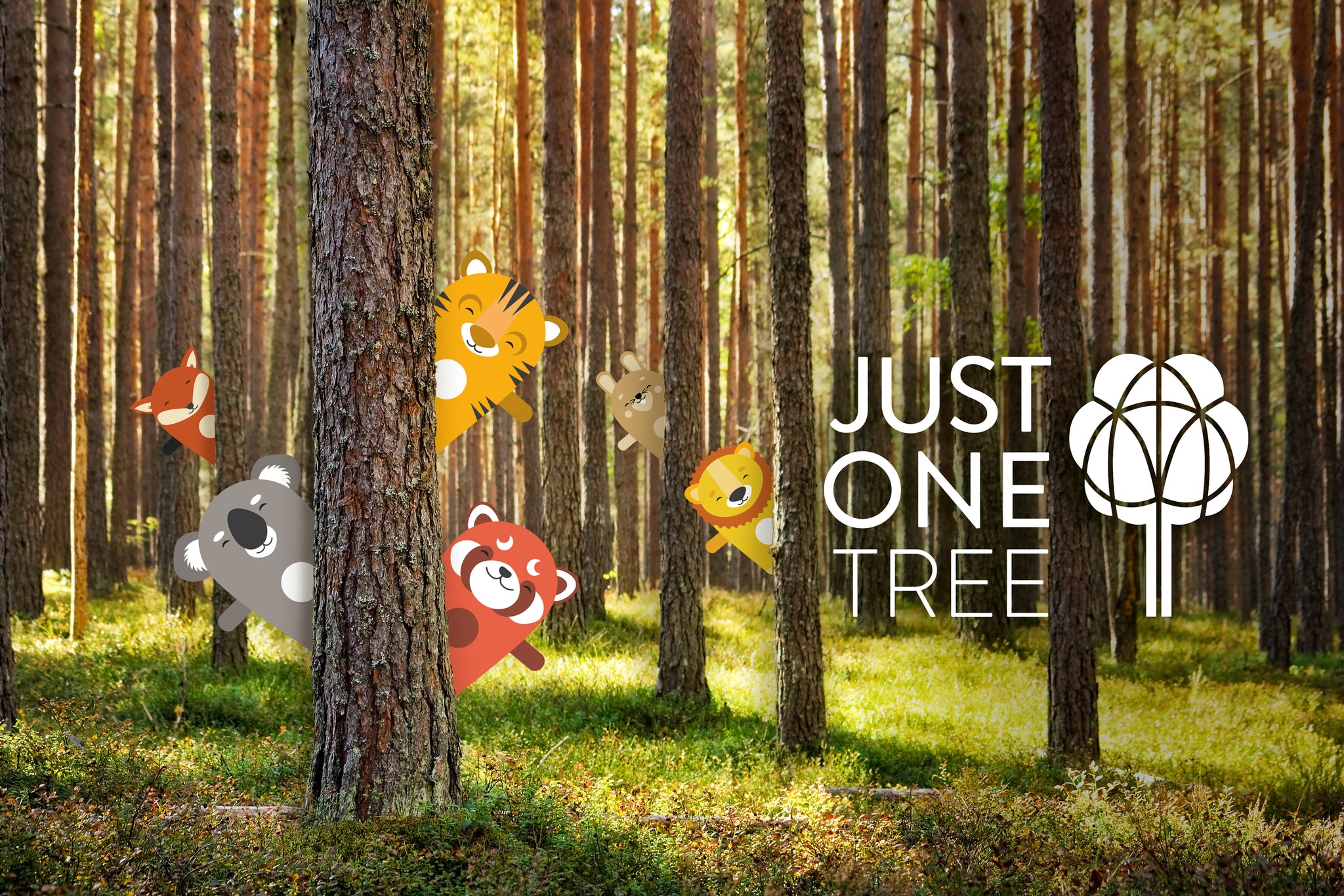OddlyWild in partnership with Just One Tree campaign