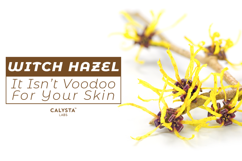 Witch Hazel: It Isn't Voodoo For Your Skin