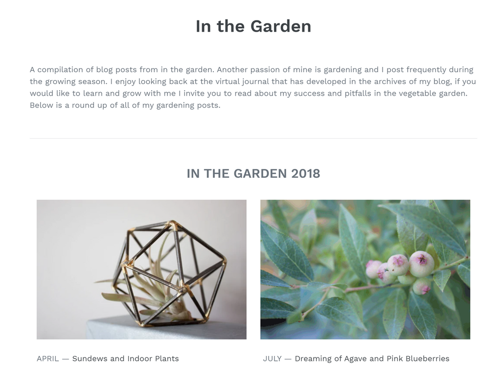 Jane Richmond Blog - in the garden