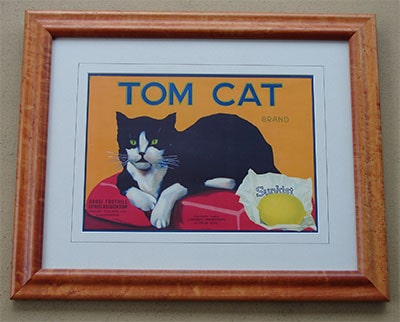 Tom Cat lemon label