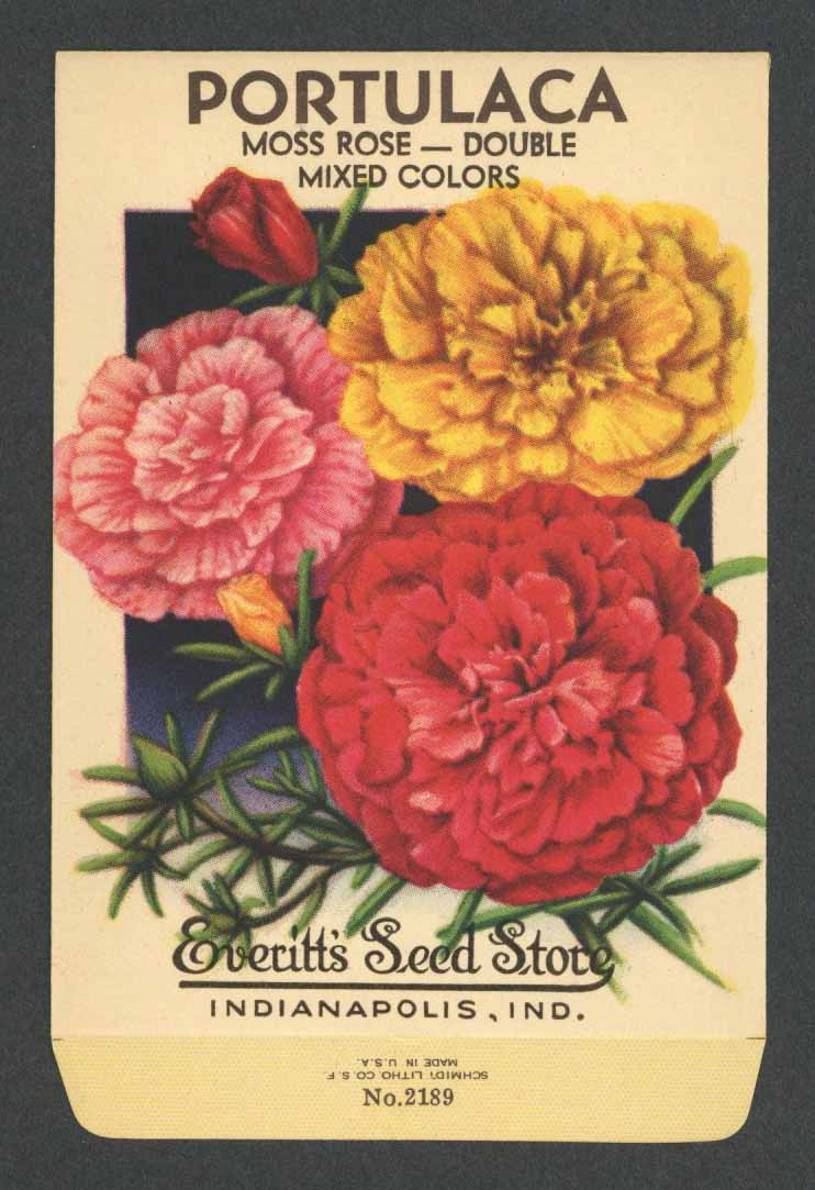 1930's ZINNIA DWARF FLOWER LITHO SEED PACKET INDIANAPOLIS,IND EVERITT'S SEED