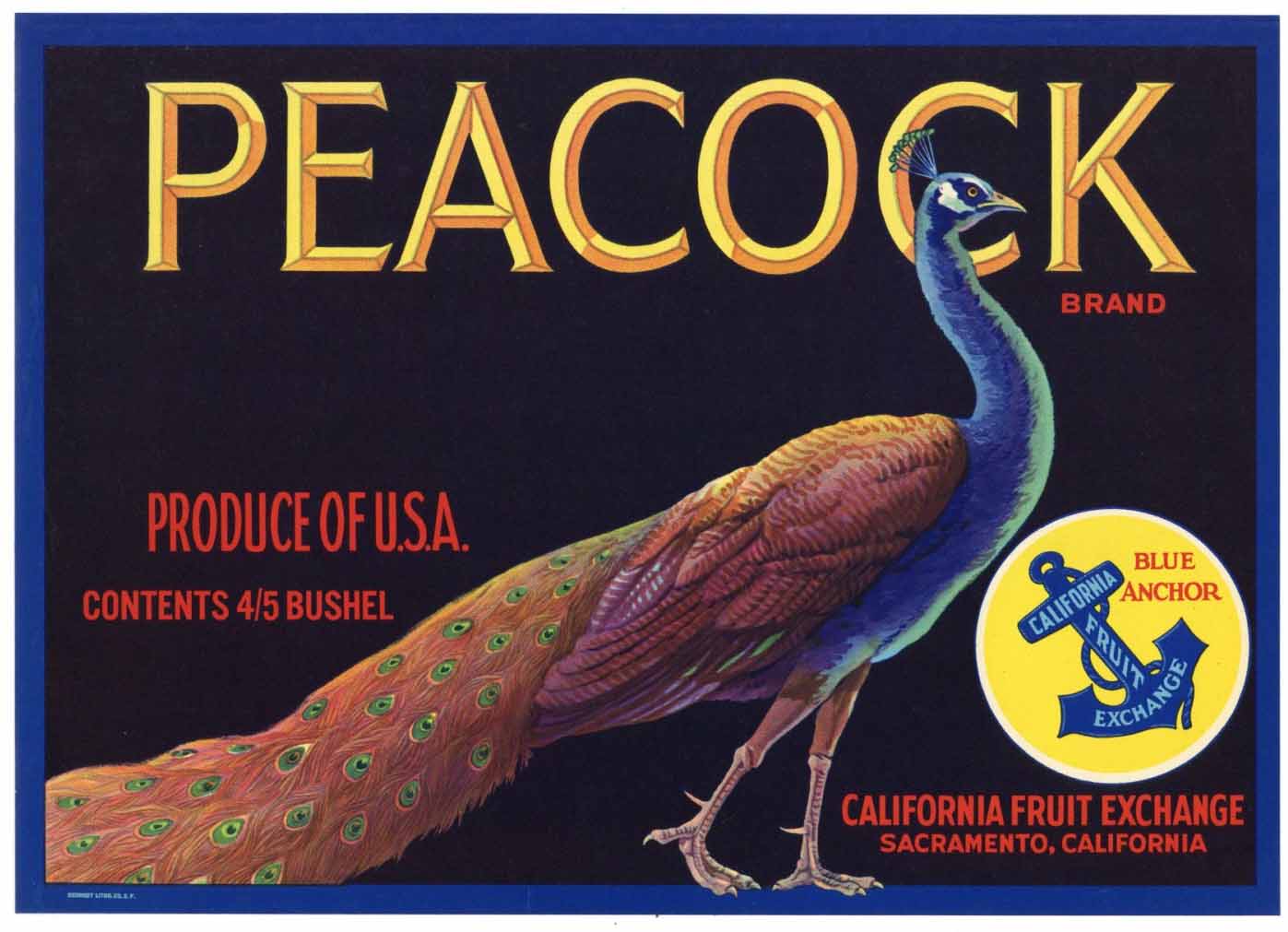 Sacramento Be-Wise Owl Pear Fruit Crate Label Art Print