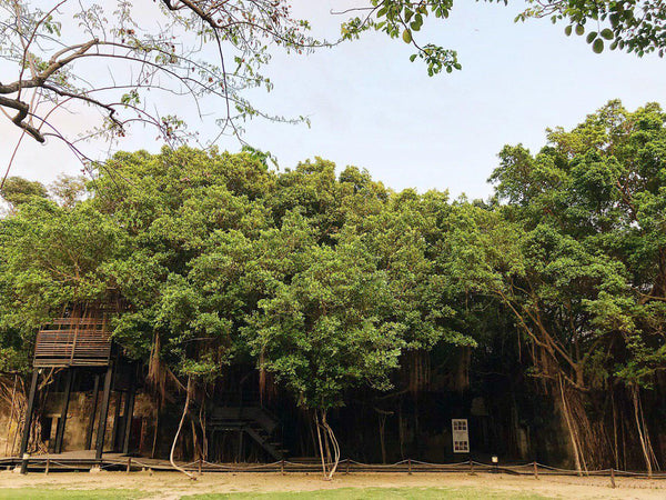 Tainan Anping Treehouse
