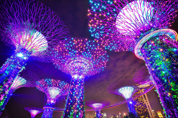 Gardens by the Bay Singapore Supertree