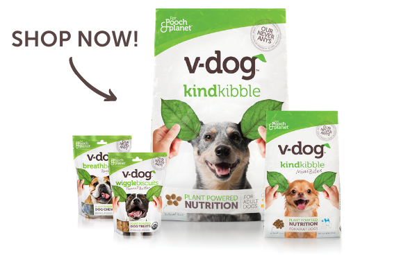 shop all v-dog products