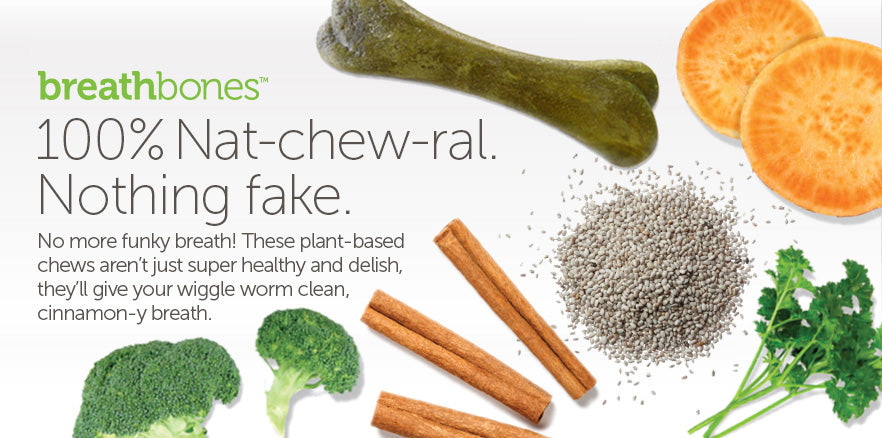 Breathbones: 100% Nat-chew-ral. Nothing fake. No more funky breath. These plant-based chews aren't just super healthy and delish, they'll give your wiggle worm clean, cinnamon-y breath.