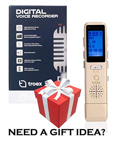 Digital Voice Recorder For Mac