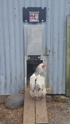 Coop Secure installed on a coop