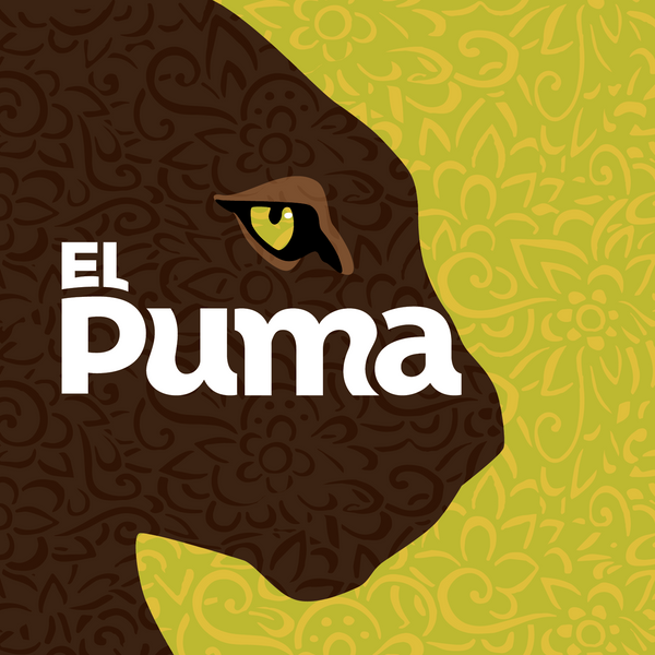 el puma que come