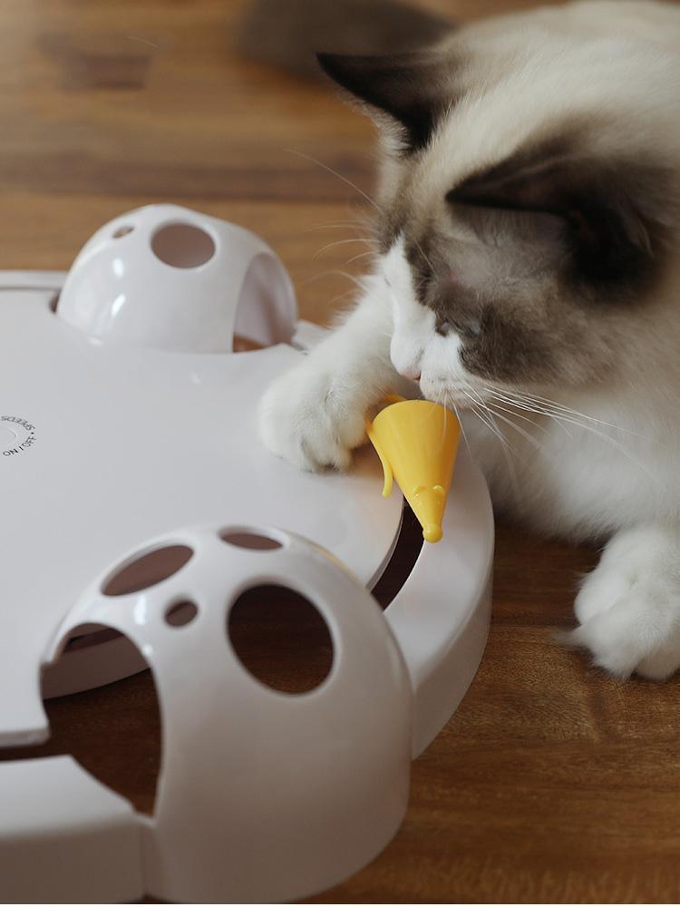 fully automatic cat fun toy