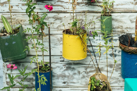 Repurposed tins for flower pots