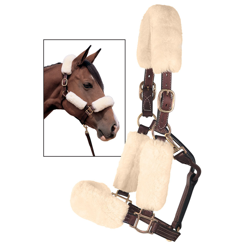 Fleece Halter Cover by Weaver Tack - Halters & Leads - Halters Weaver   