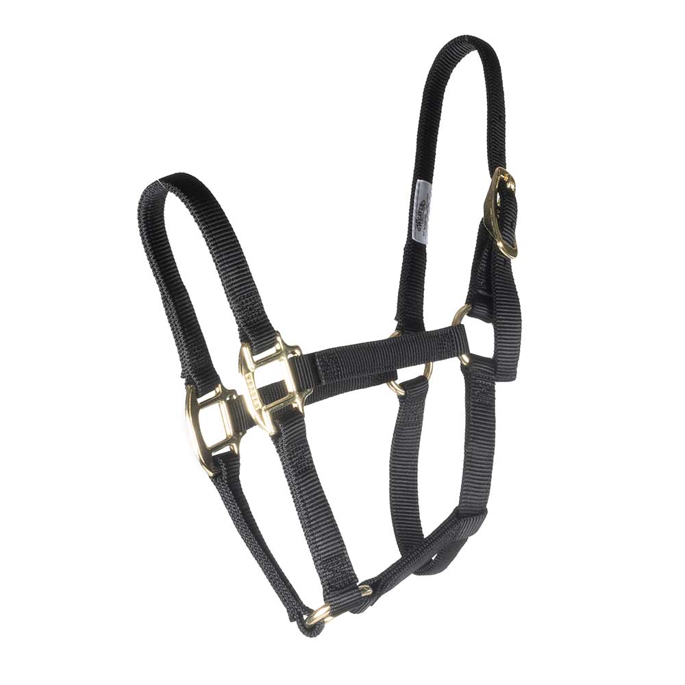 Weaver 3/4" Pony/Weaning Horse Original Halter Tack - Halters & Leads - Halters Weaver Black  